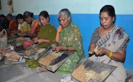 श्रम कल्याण योजनाओं से भारत भर में 50 लाख से अधिक असंगठित श्रमिकों को सहायता मिलेगी