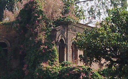 मधुपुर शहर में सात करोड़ से भी अधिक सरकारी जमीन पर भू-माफियाओं का कब्ज़ा, प्रशासन मौन