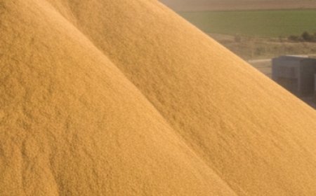 मधुपुर का ग्रेन गोला इतिहास बना, जगह पर खड़ी हो गईं पक्की दुकानें