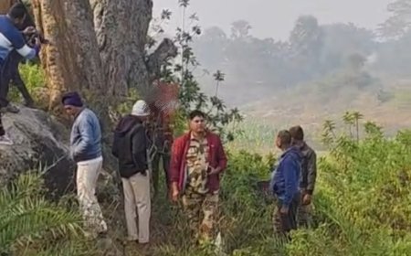 मधुपुर के आम बागान में 40 वर्षीय व्यक्ति का शव फंदे से लटका मिला, इलाके में सनसनी