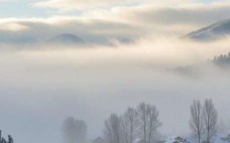 मधुपुर में कड़ाके की ठंड के साथ घना कोहरा, जनजीवन बेहाल