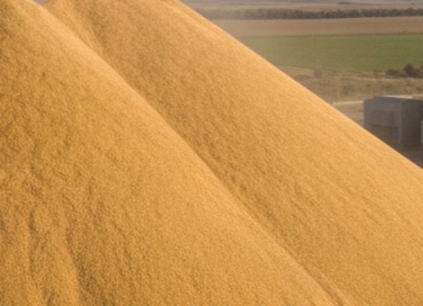 मधुपुर का ग्रेन गोला इतिहास बना, जगह पर खड़ी हो गईं पक्की दुकानें