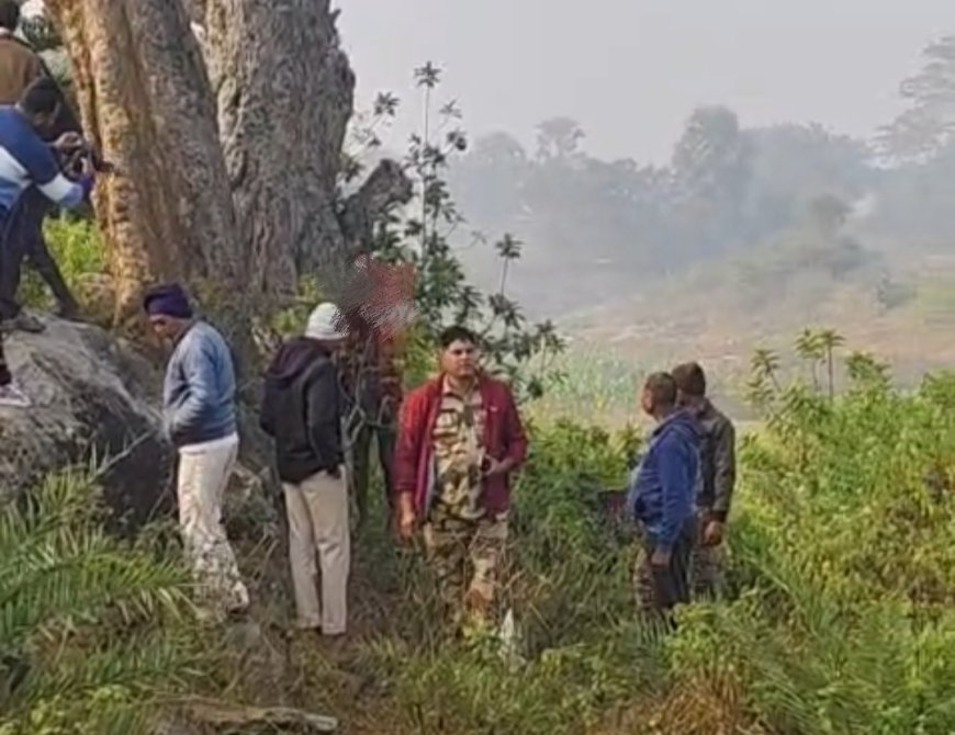 मधुपुर के आम बागान में 40 वर्षीय व्यक्ति का शव फंदे से लटका मिला, इलाके में सनसनी